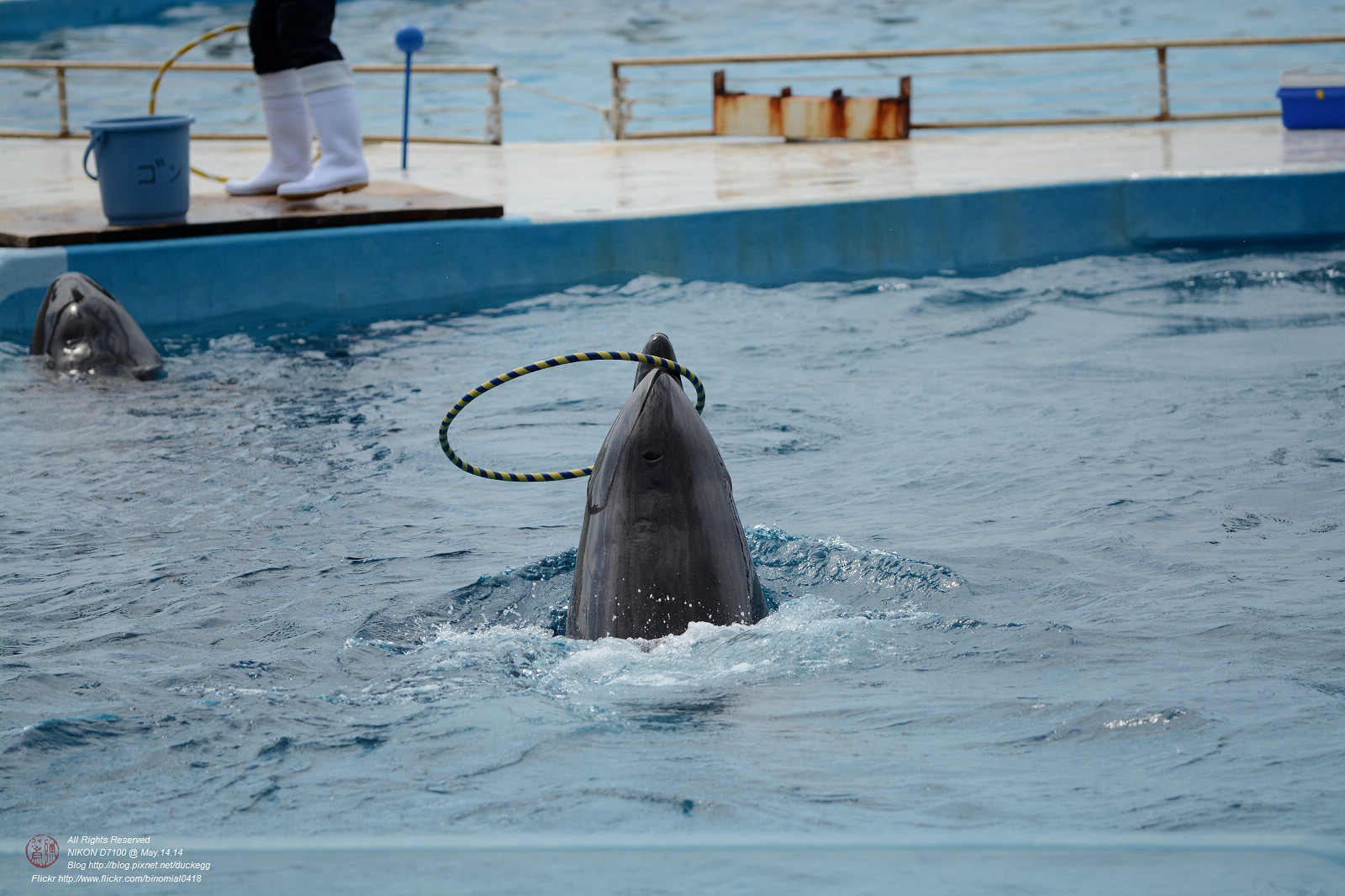 DSC_3051.jpg